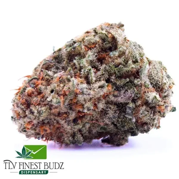 Jamaican Orange Strain