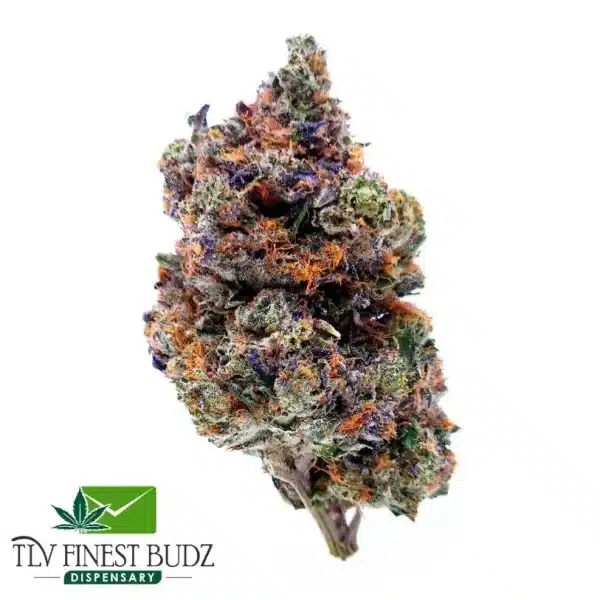 Presidential Pink Strain