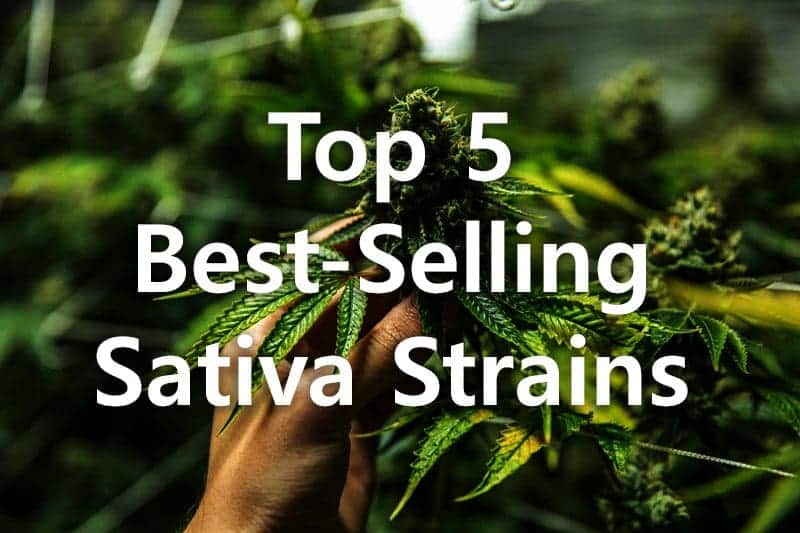 Top 5 Best-Selling Sativa Flowers for March 2023