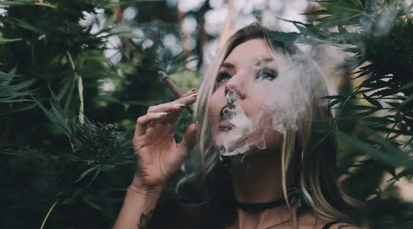 Exploring the Impact of Smoking Weed on Skin Aging