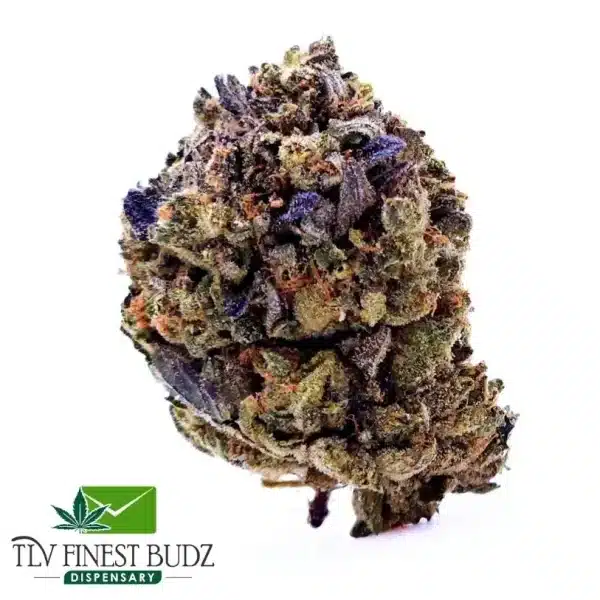 AAAA Kool Aid Gelato