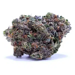 Pure Michigan Strain