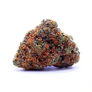 Kool Aid Gelato Strain