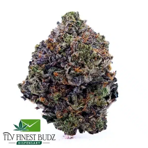 Close-up of a dense pink wifi strain bud, showcasing vibrant green and purple hues with visible orange pistils against a white background.