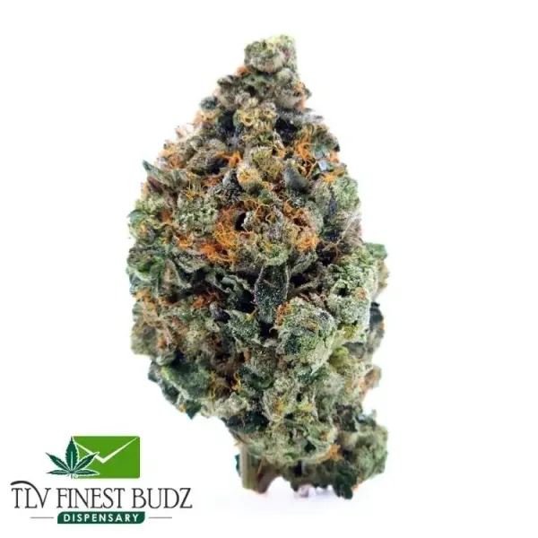 Close-up of a dense, resin-covered Pink Gucci bud with green and orange hues, alongside the "TLV Finest Budz Dispensary" logo.