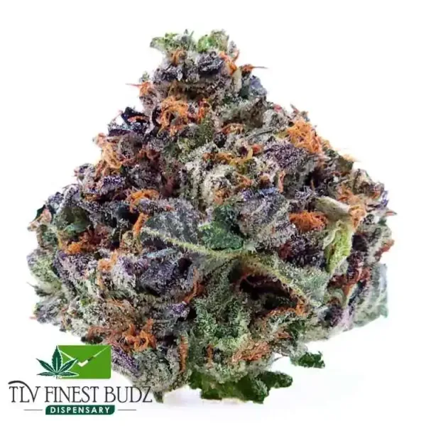 Close-up of a vibrant Pink Gas bud with purple hues, orange hairs, and a frosty appearance, set against a white background.