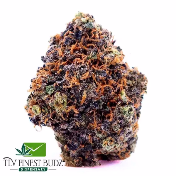 A close-up of a dense Granddaddy Purple bud showcasing vibrant orange hairs and dark purple-green tones against a white background.