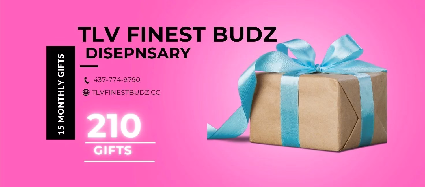 A gift box with a blue ribbon sits on a pink background next to text promoting TLV Finest Budz Dispensary in Toronto, featuring contact info and a note about 210 weed gifts and 15 monthly gifts.