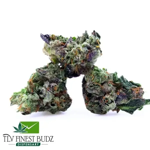 Two large, colorful White Phantom buds with vibrant green and purple hues, featuring a frosty coating of trichomes at the bottom.