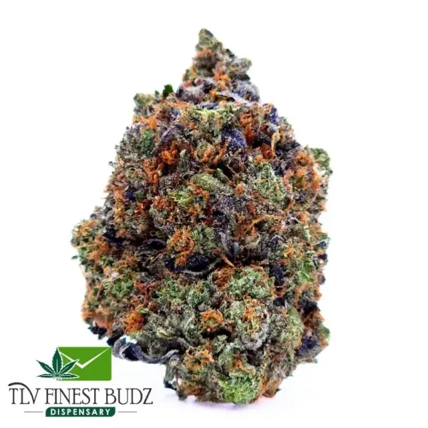 Close-up of a colorful Wagyu Strain bud with vibrant orange hairs and hints of purple and green, accompanied by the TLV Finest Budz logo.