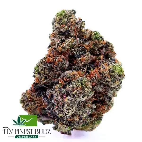 Close-up of a dense 9 Pound Hammer Marijuana Strain showcasing vibrant green and orange hues, labeled with TLV Finest Budz Dispensary logo.