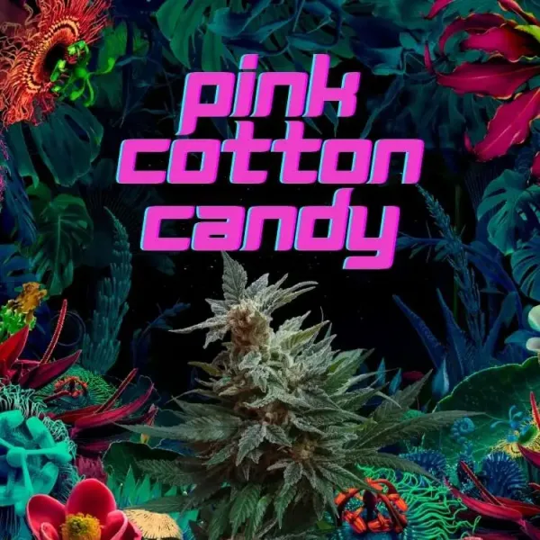 A vibrant graphic featuring colorful plants and flowers with bold text "pink cotton candy" at the center.